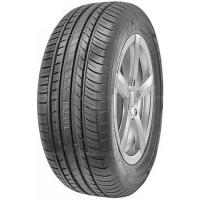 255/50 R19 107W Superia EcoBlue SUV XL (2024)